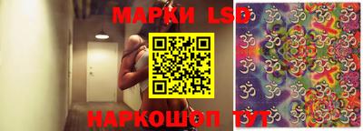 винт Сланцы