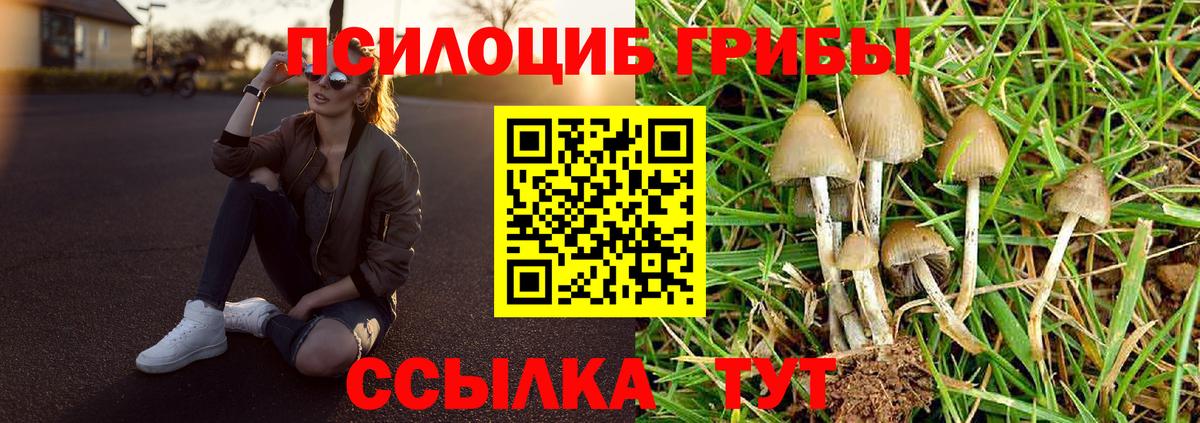 Галлюциногенные грибы GOLDEN TEACHER  Вход с VPN  Орёл 